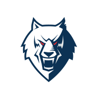 логотип-команды